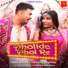 About Dholida Dhol Re Song